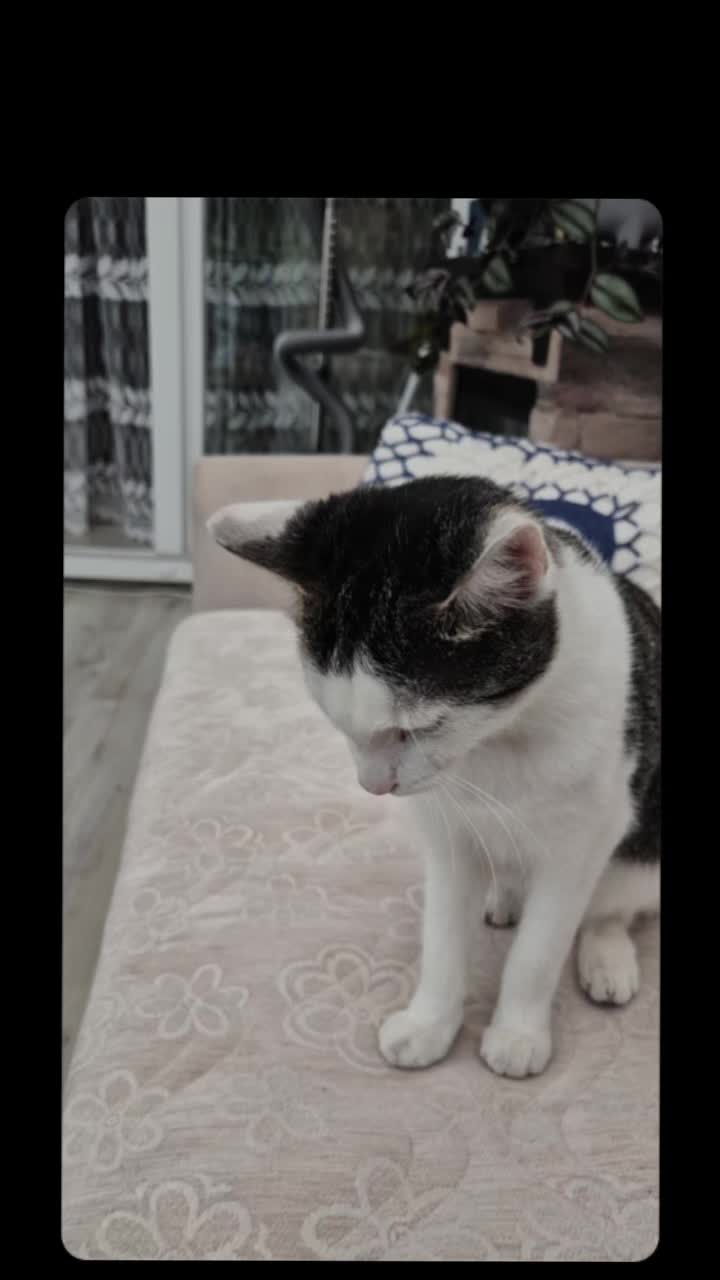 @G&uuml;lseren &Ouml;zdogan