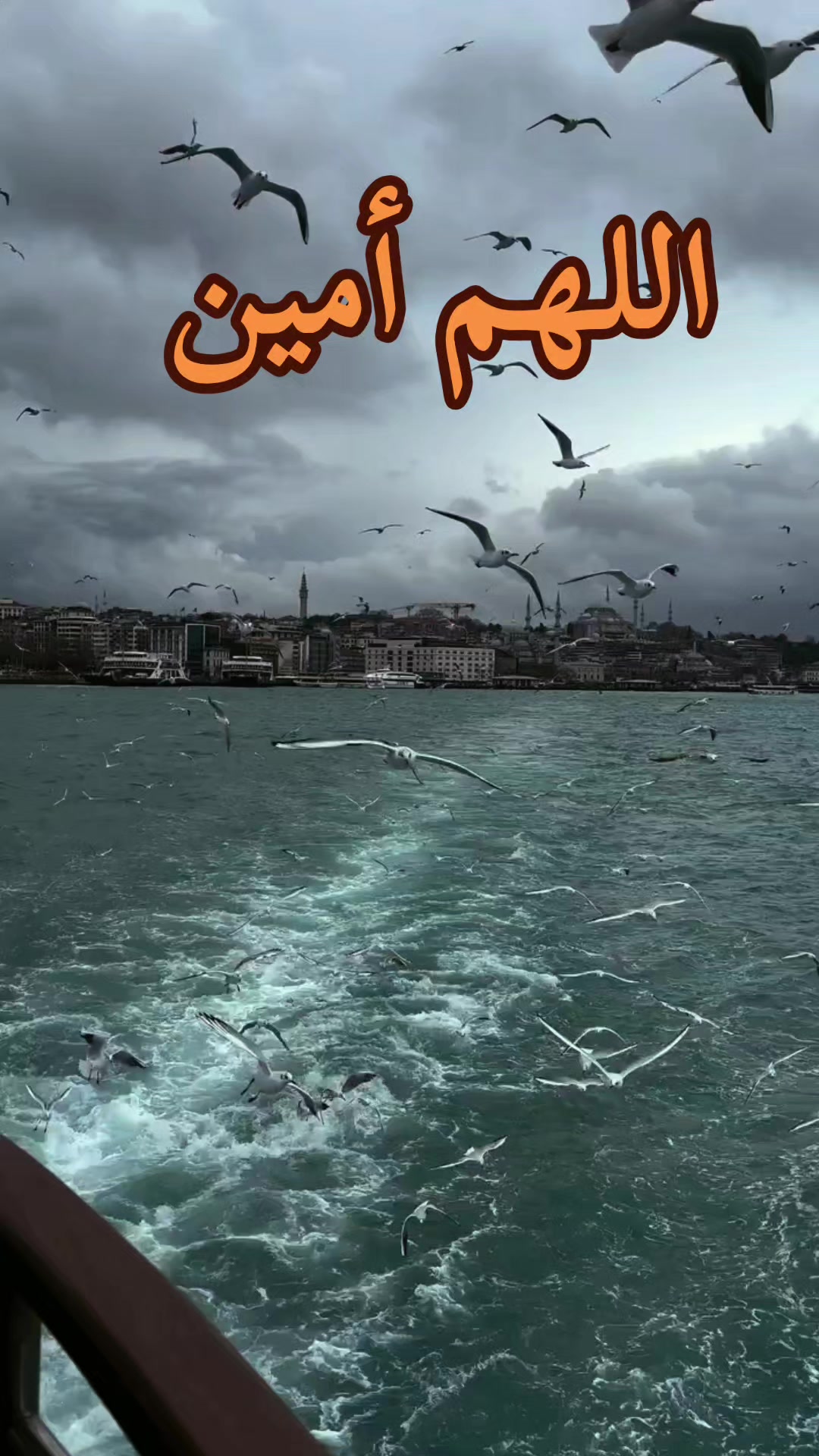@أم علي