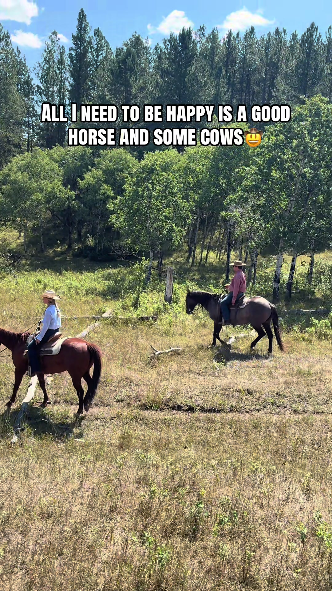 @Alena🤠