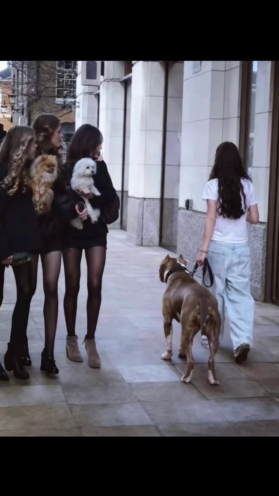 @Faby&Kira🐶❤️👩🏼