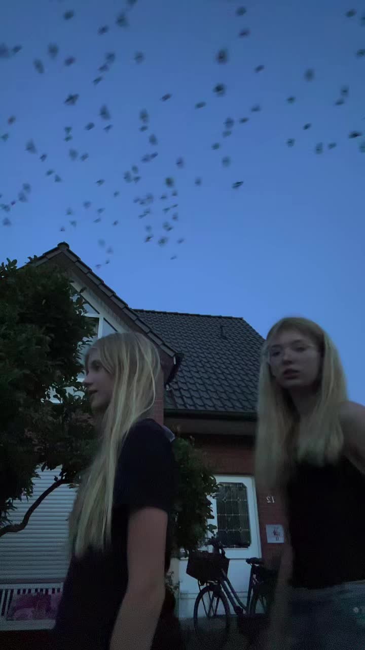 @Bella