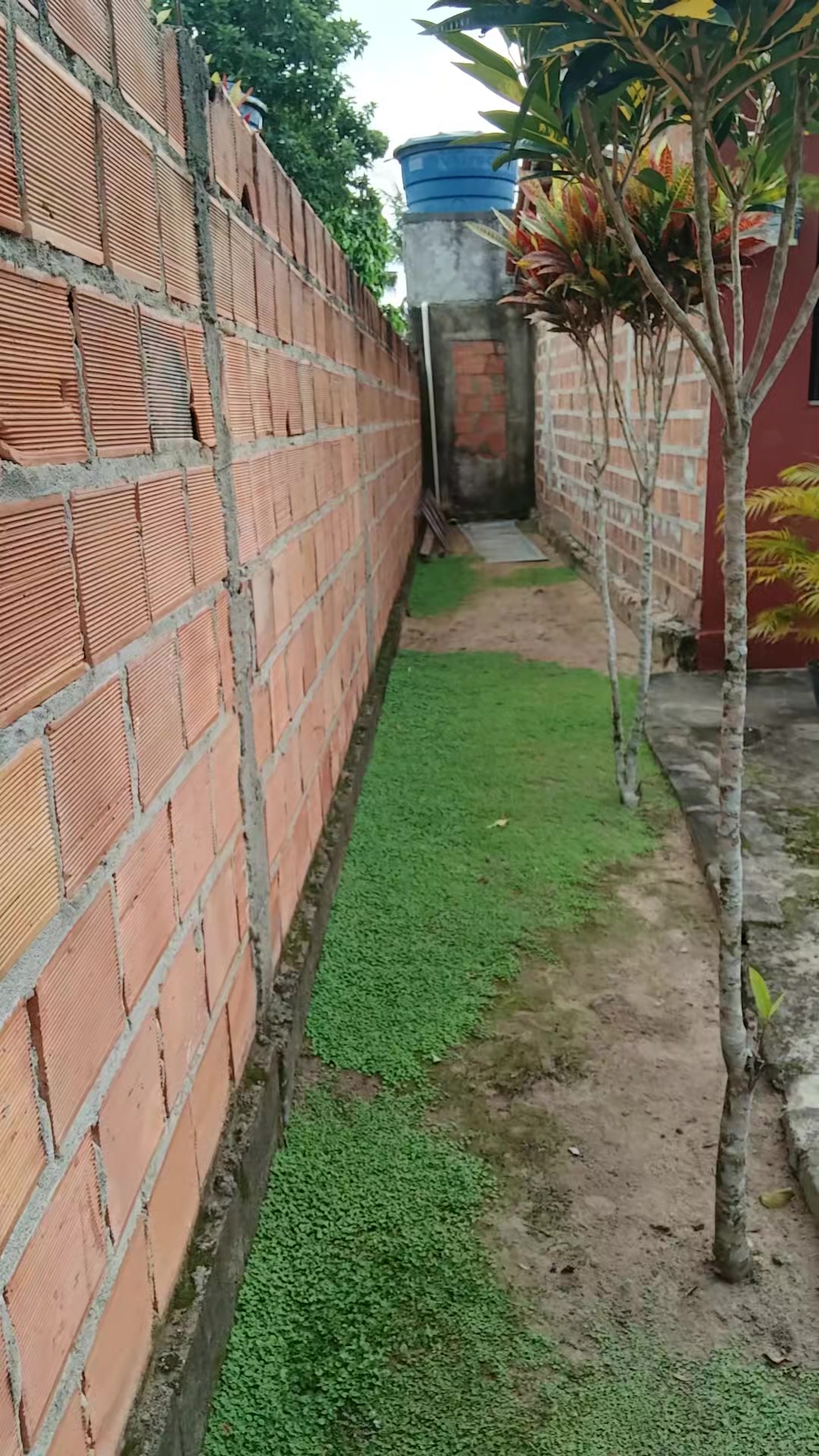 @famozinha do tiktok