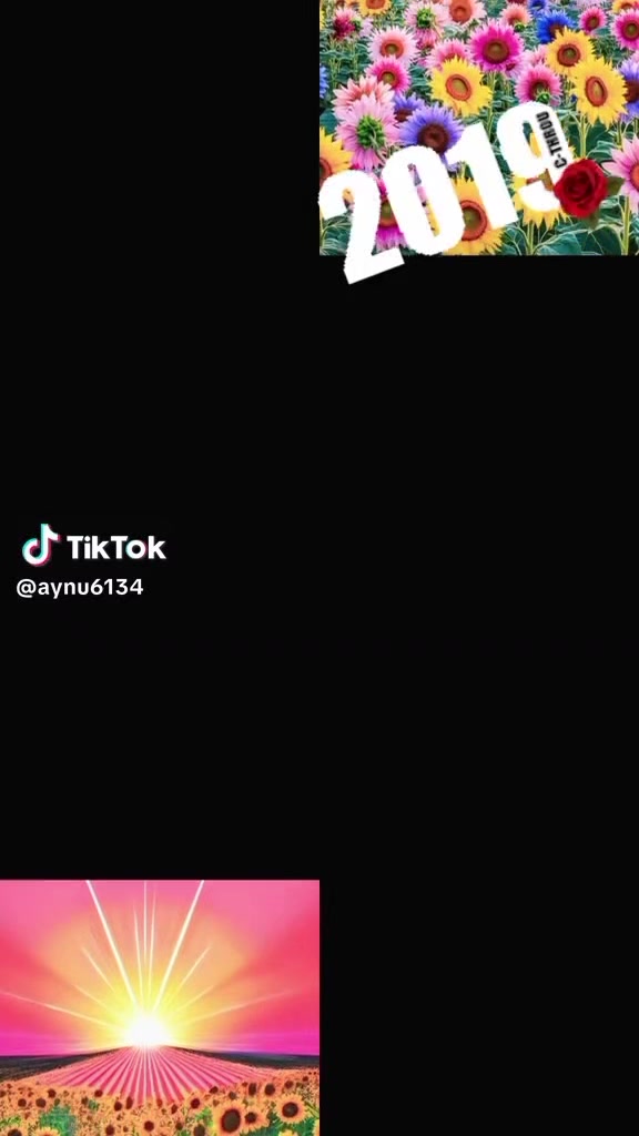 @tsion
