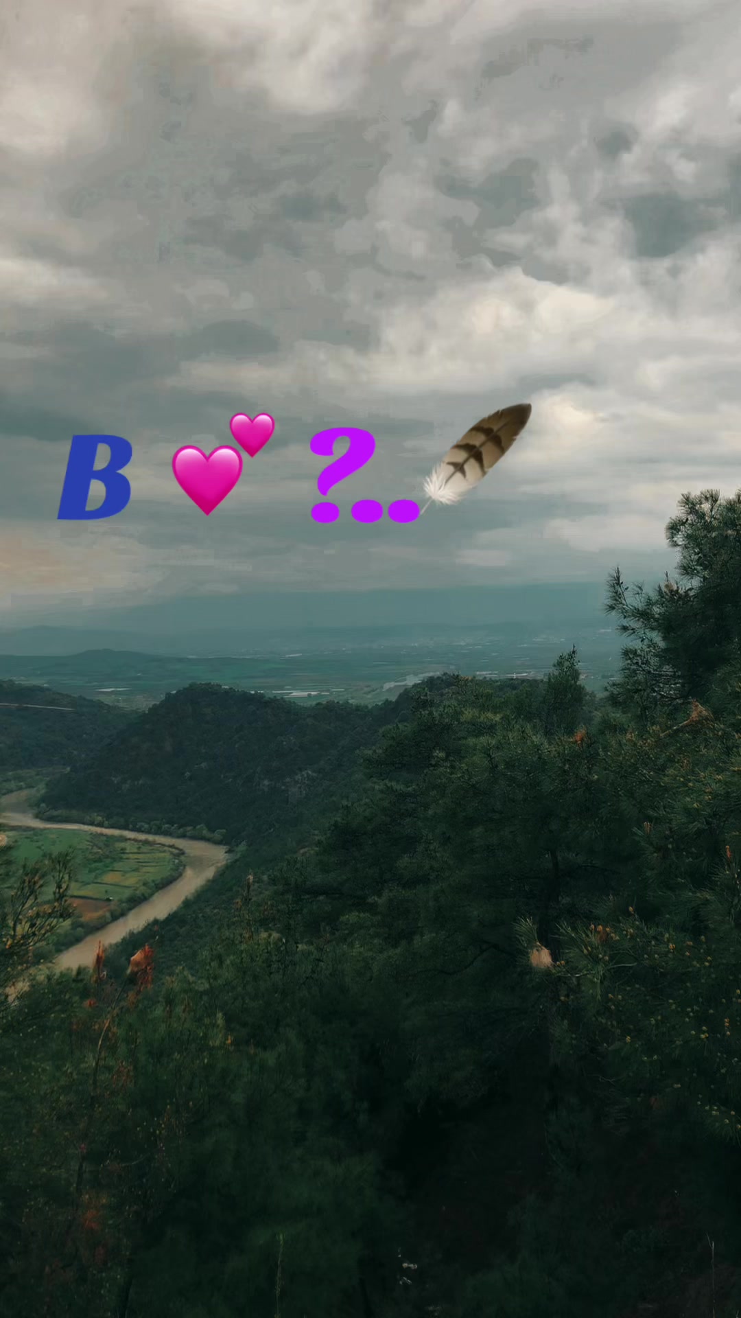@behrul6041.1