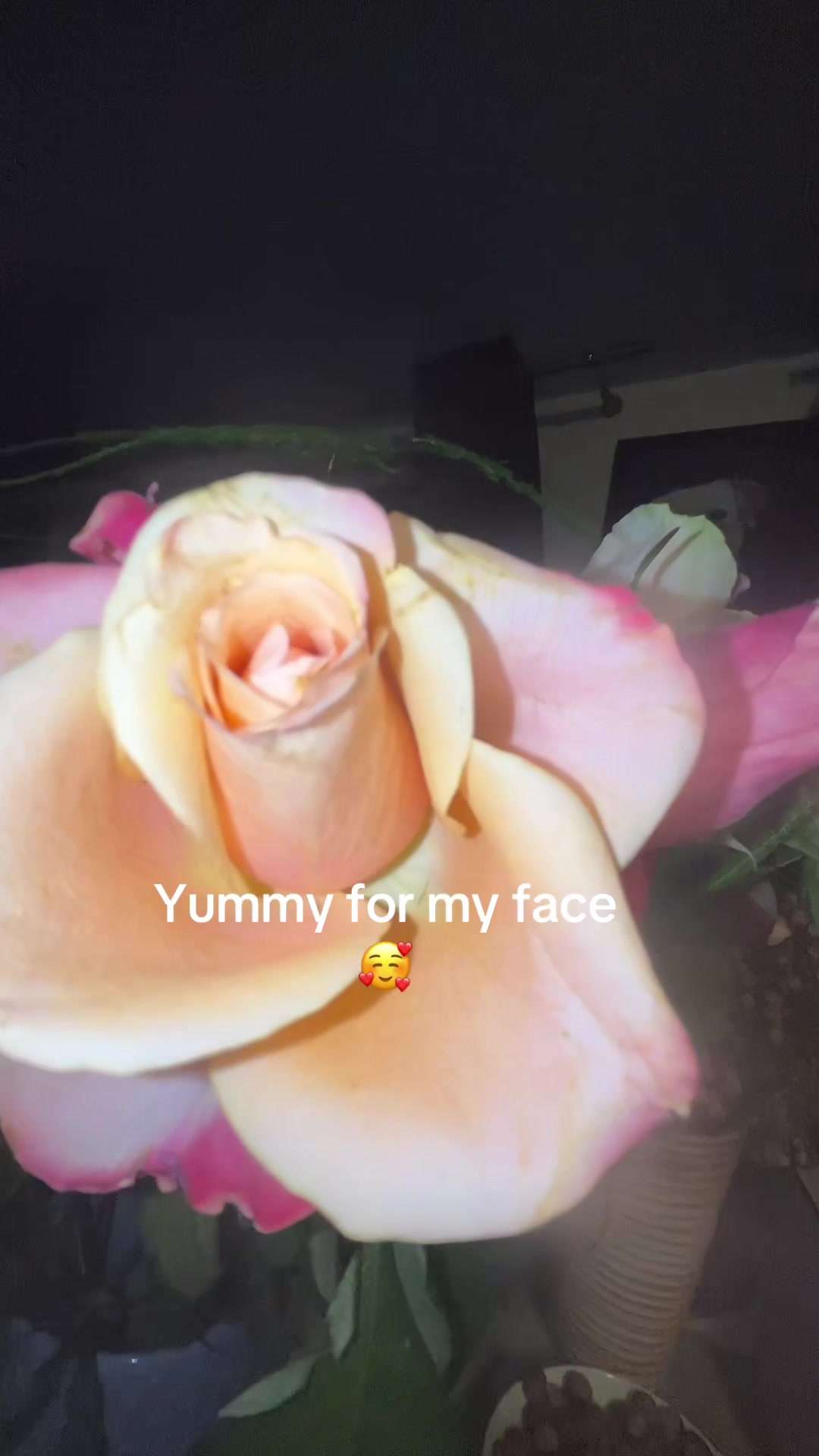 @Bambi