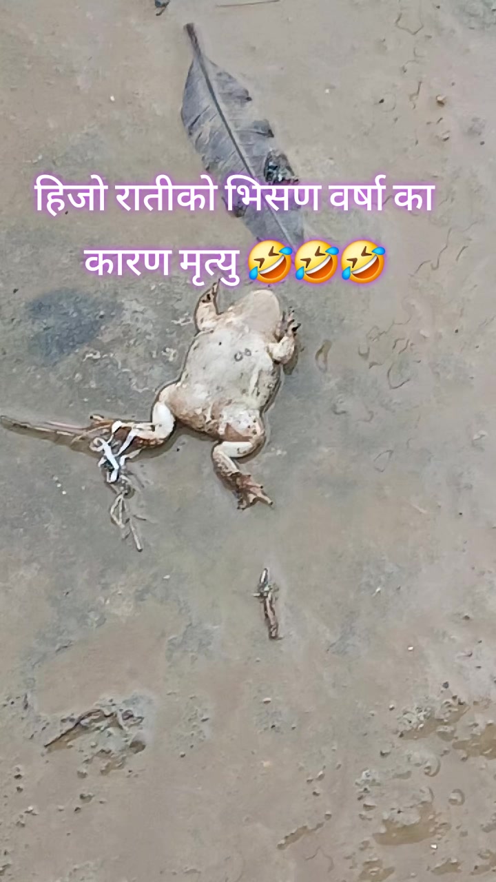 @꧁𓊈𒆜SANTOSH𒆜𓊉꧂
