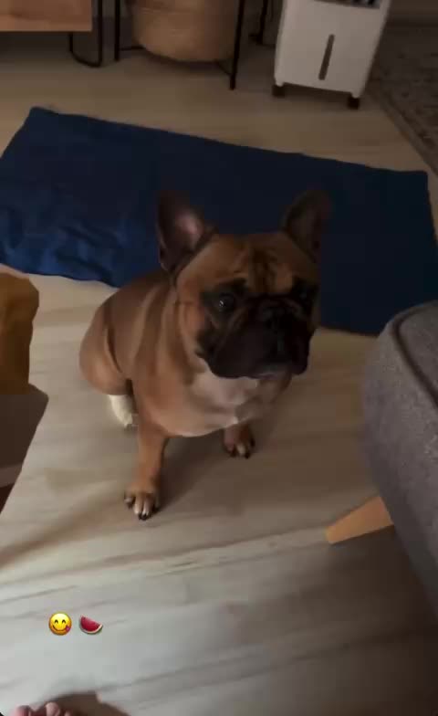 @La petite Lily et ses copains