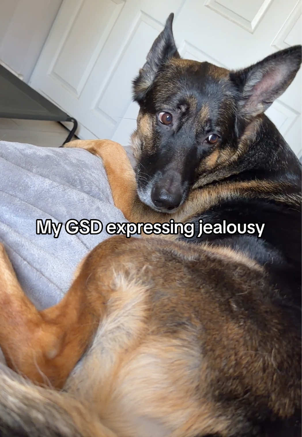 @Beau and Maja