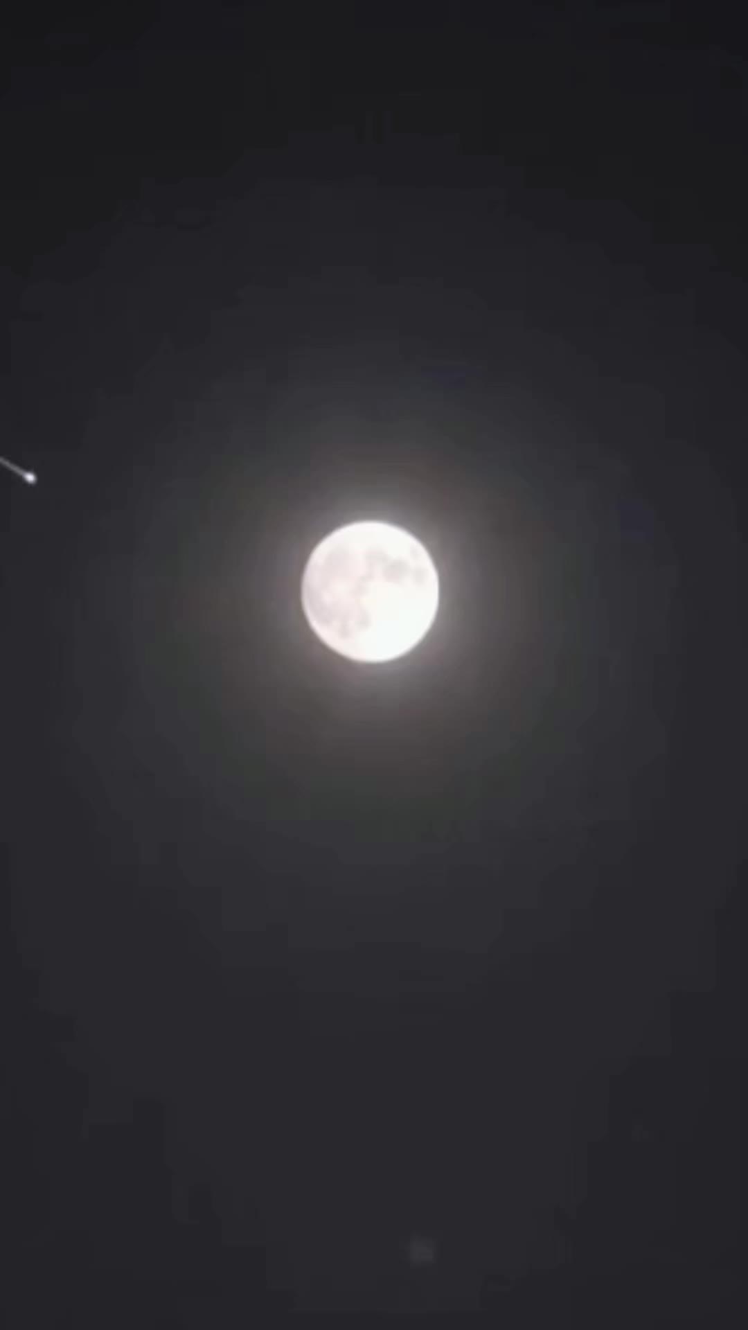 @Bella luna 🌓