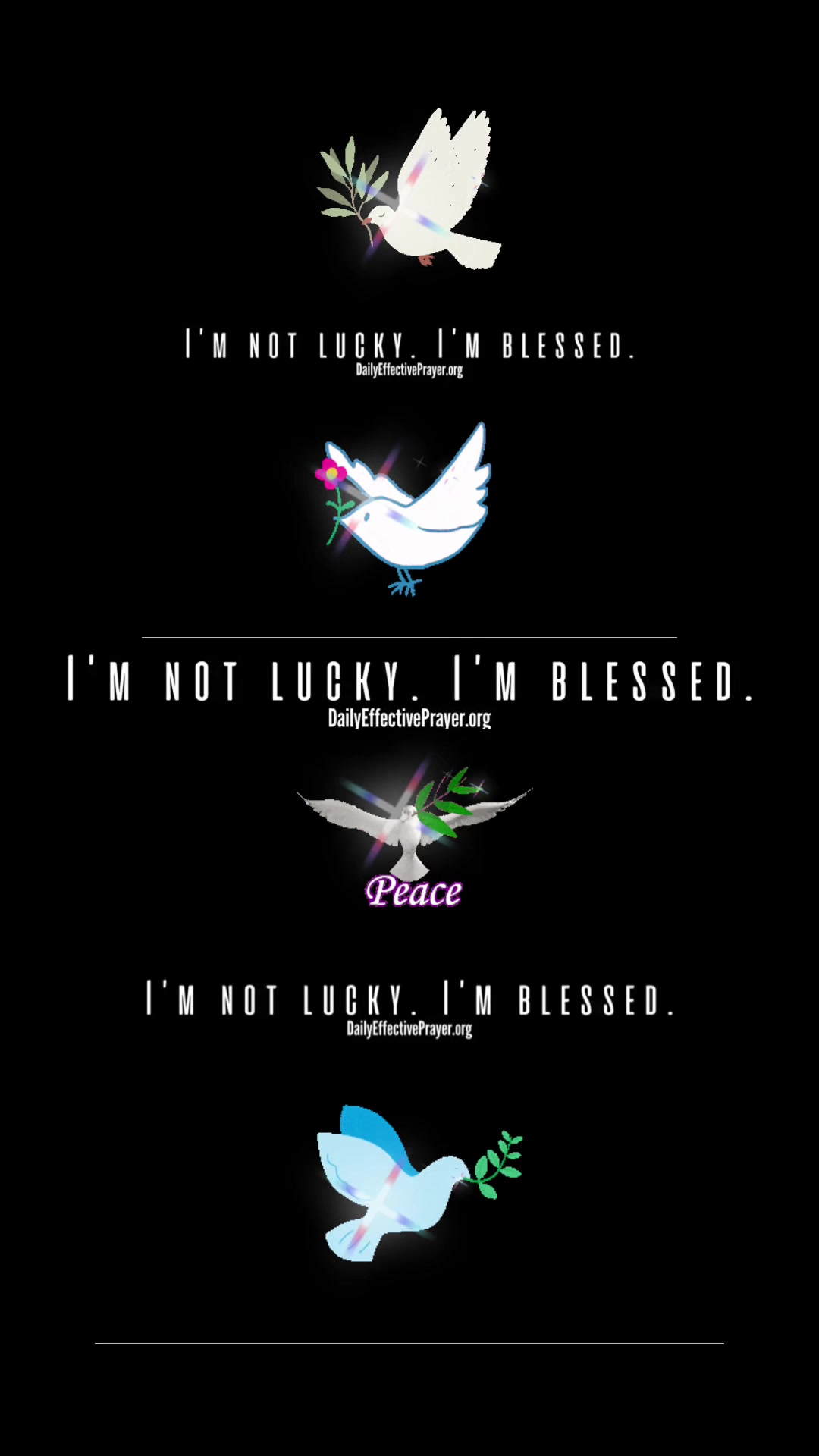 @🙏🏻Beautifully Blessed🙏🏻