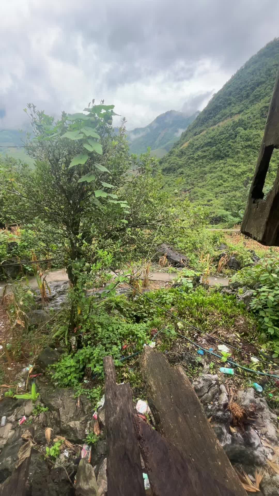 @LÍU 🇻🇳☣️