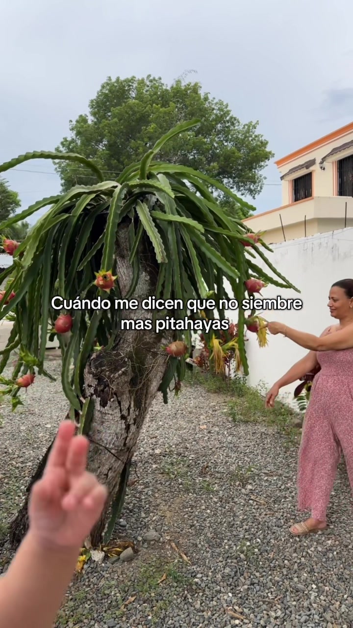 @Jacqueline Saldivar