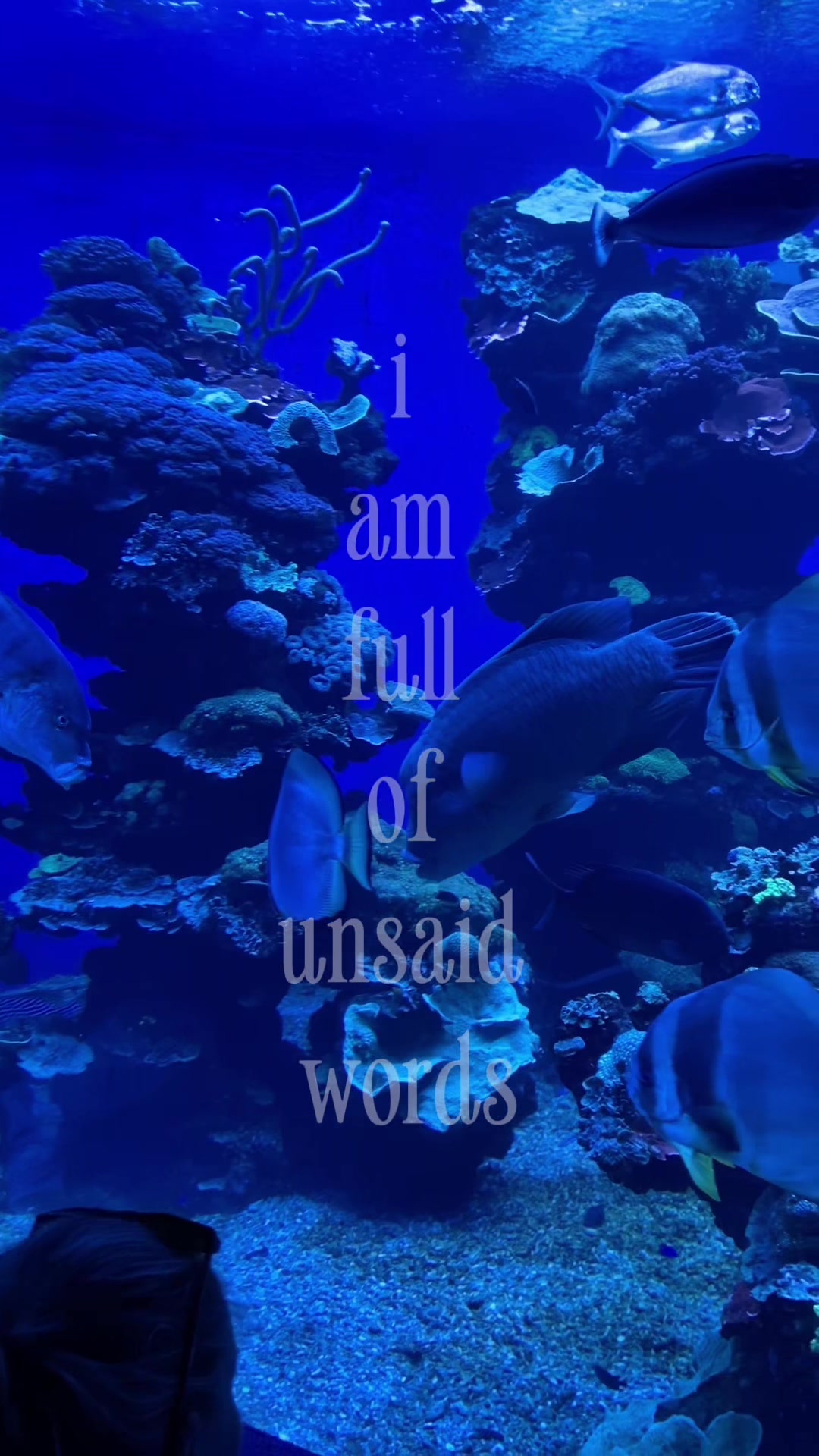 @user.ac