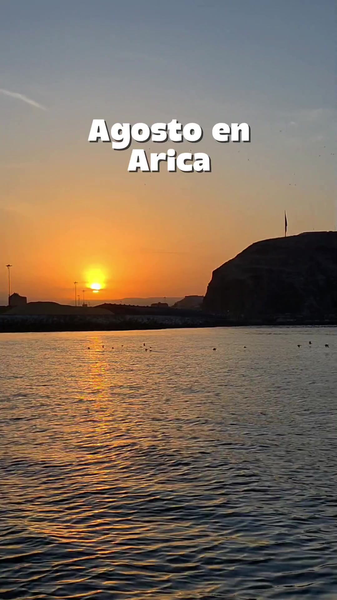 @Arica es Bac&aacute;n