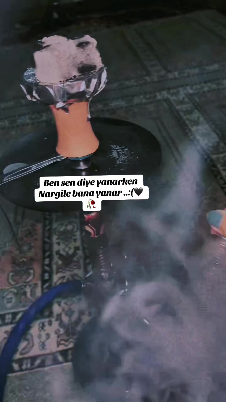 @❤️🩹buzlar kraliçesi.35❤️🩹