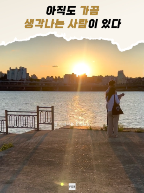 @일담플