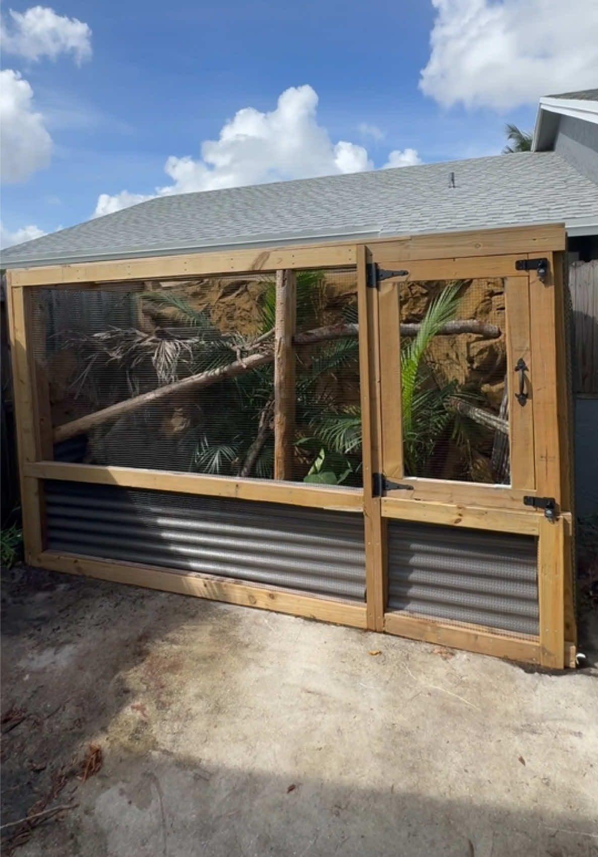 @Tommys_reptiles