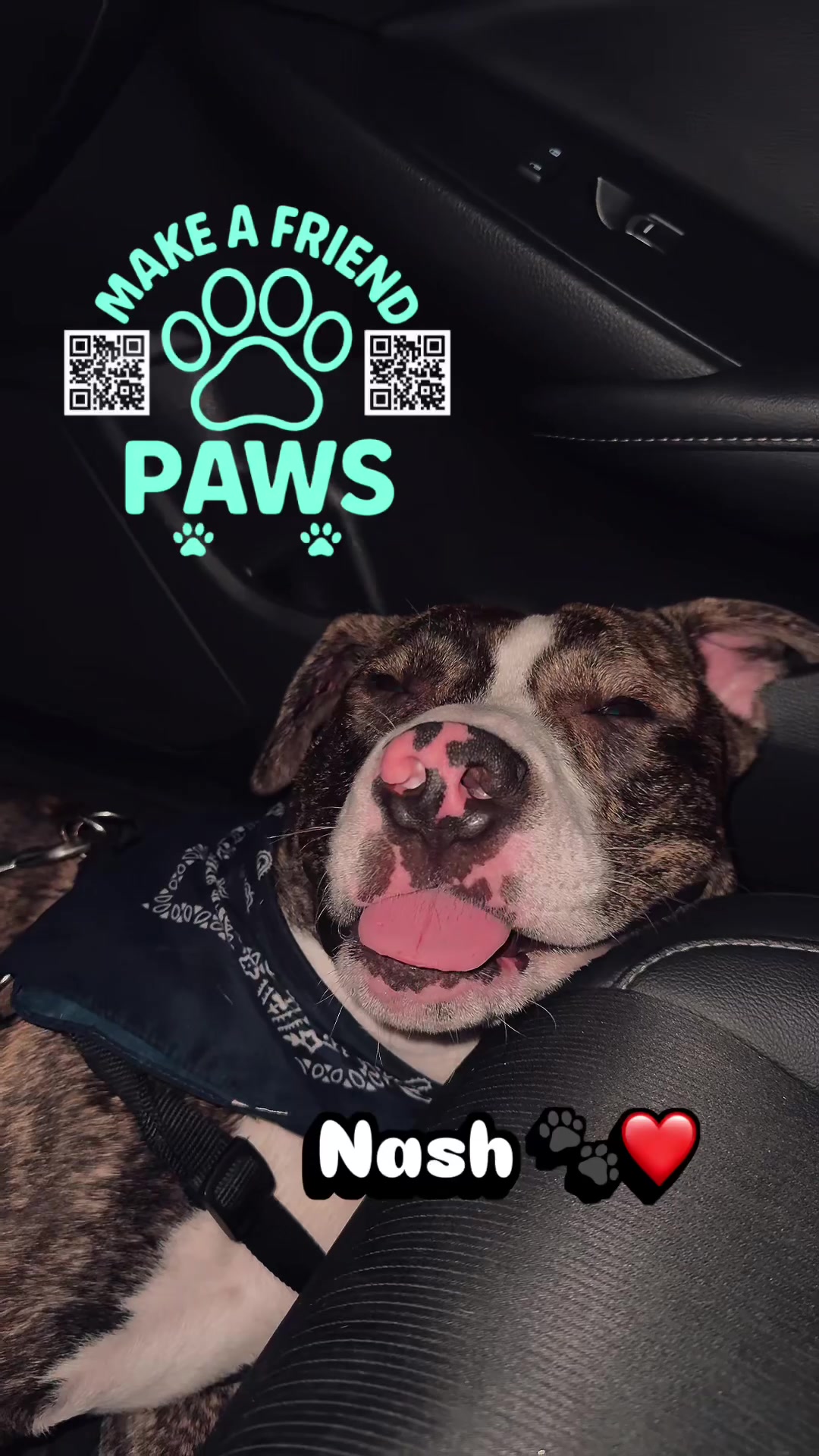 @MAKE A FRIEND PAWS 🐾
