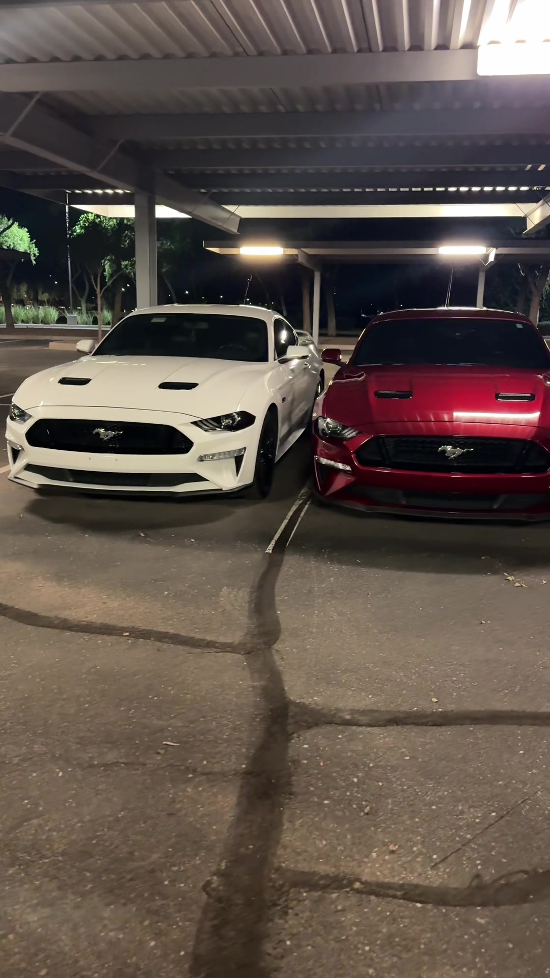 @5.0 Snowyy
