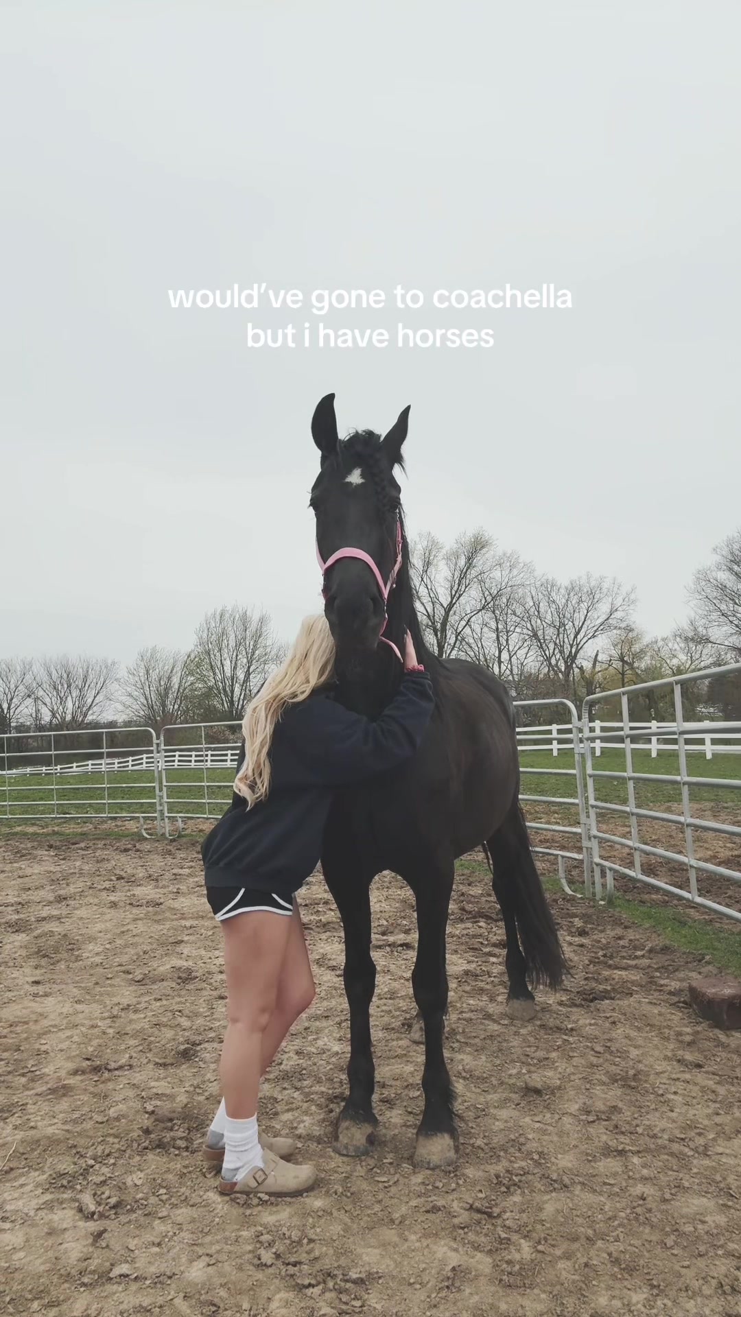 @sky
