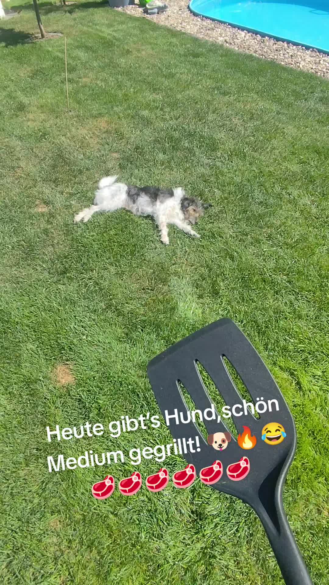 @❤️Lucy und Pepe❤️