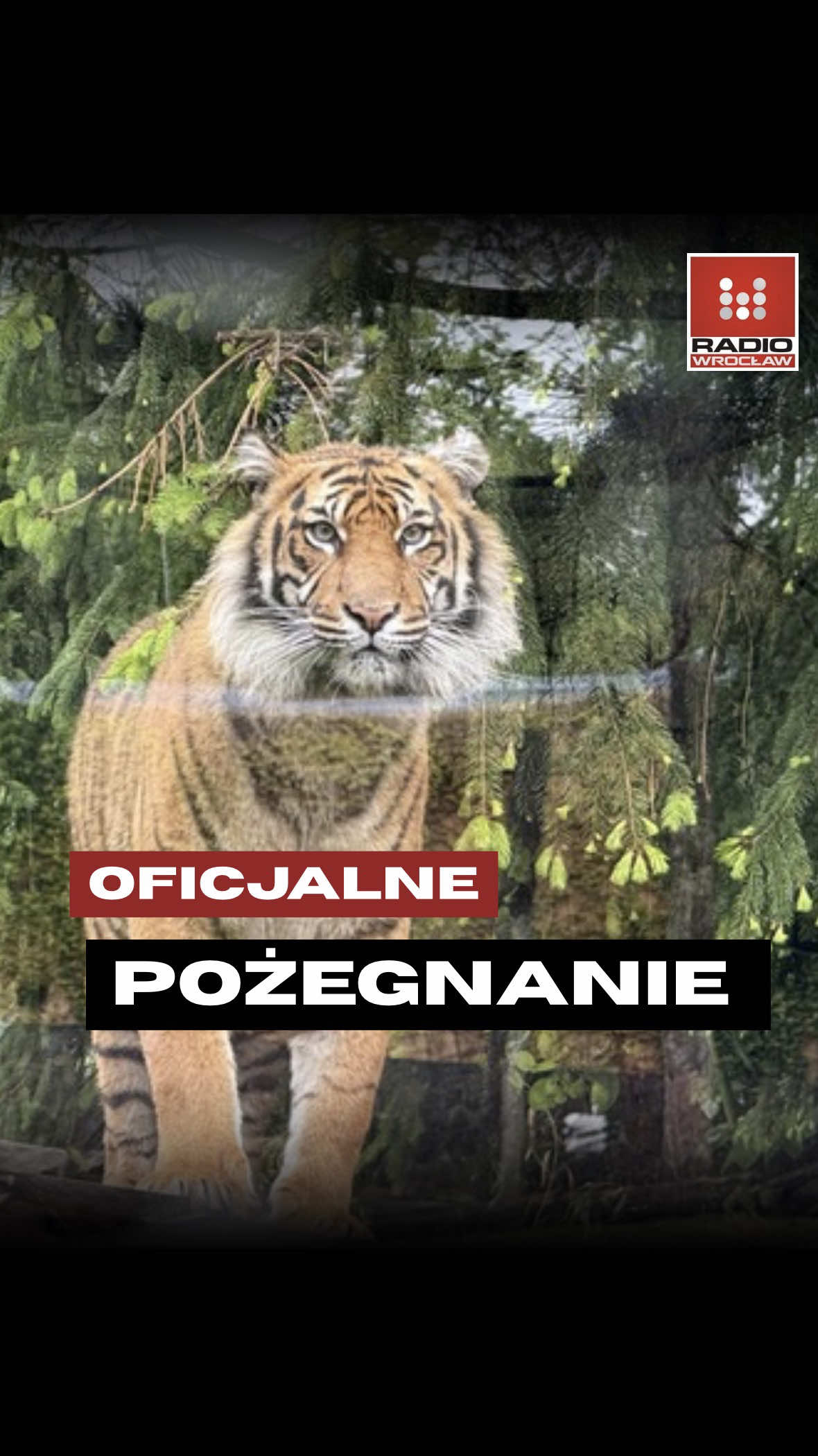 @Radio z Dolnego Śląska