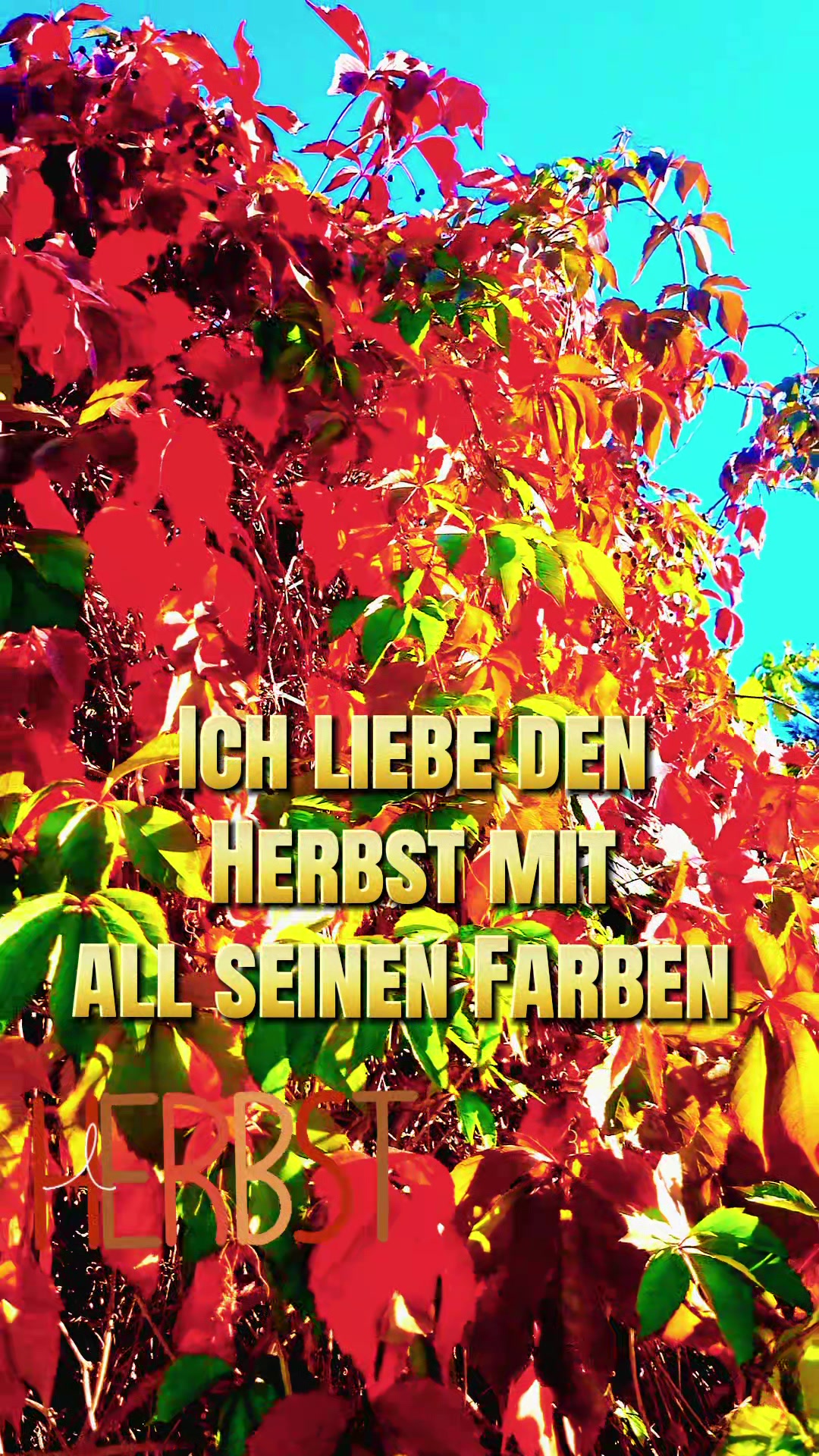 @💙⚓ Einfach🔴⚪️ nur Sandy💙⚓