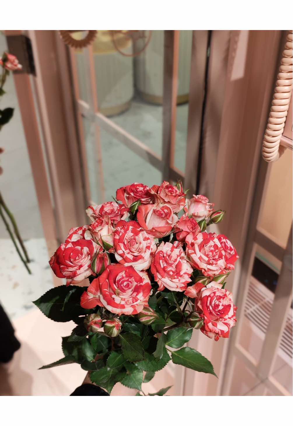@حور في امريكا