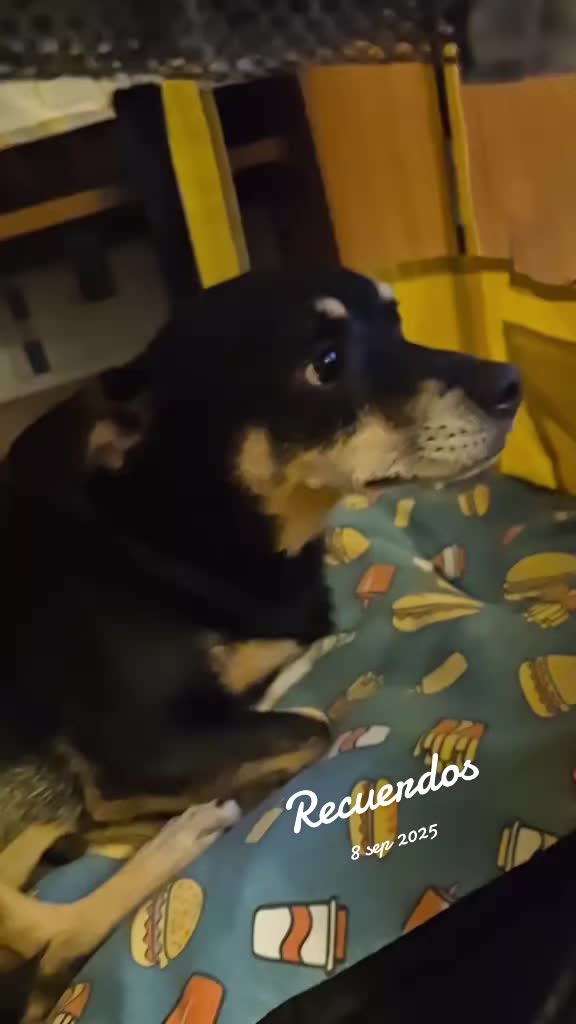 @AntoCM💕