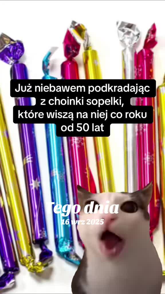 @hejmoniu
