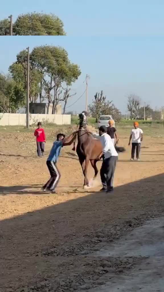 @🏇 MARWARI HORSE RACING 🏇