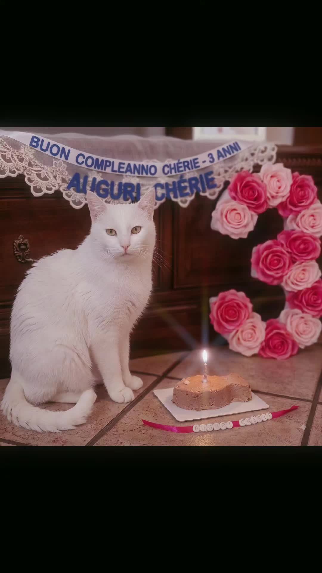 @Paola Bianchi