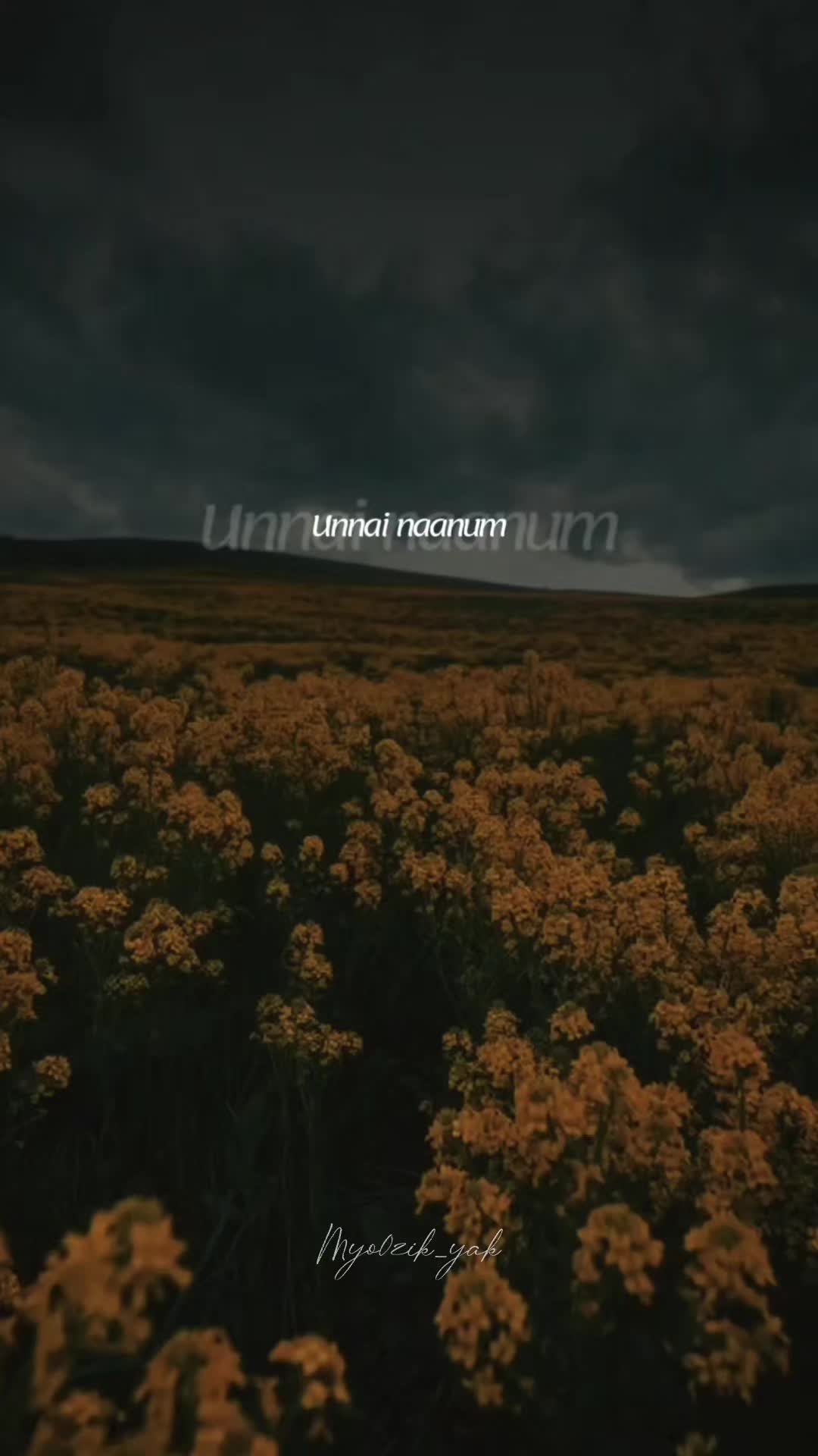 @ꪑꪗꪮ੦ɀỉƙ_ꪗꪖƙ ♪♫♬ 🧬