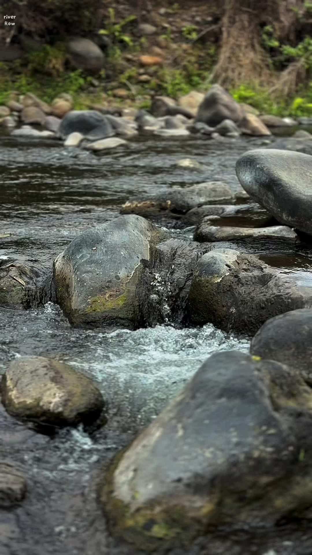 @River Flow