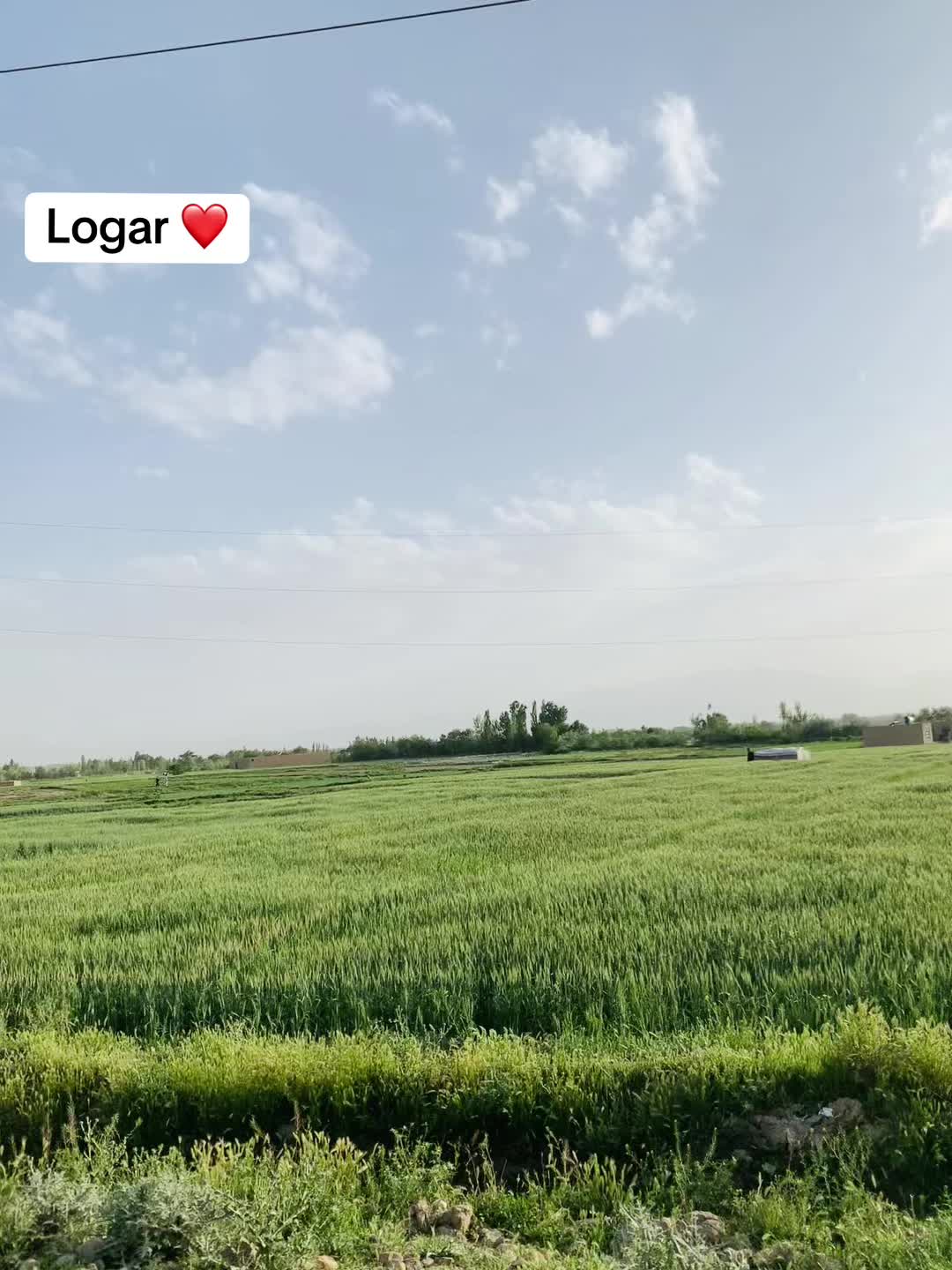 @ikramahmadzai21