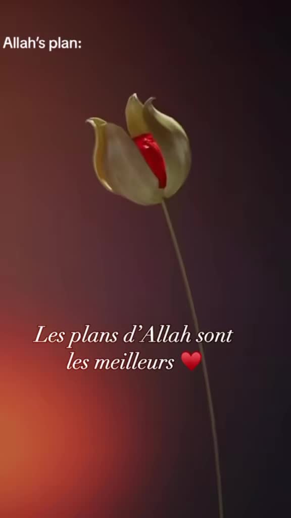 @clem.lina 59🇩🇿🇫🇷