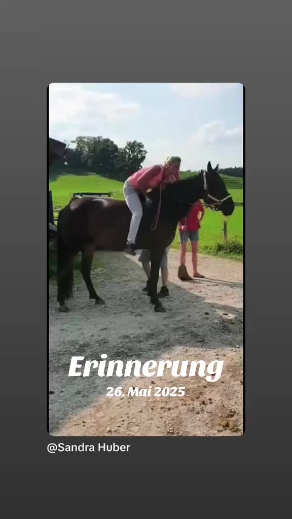 @Mountain Hill Ranch 🇦🇹