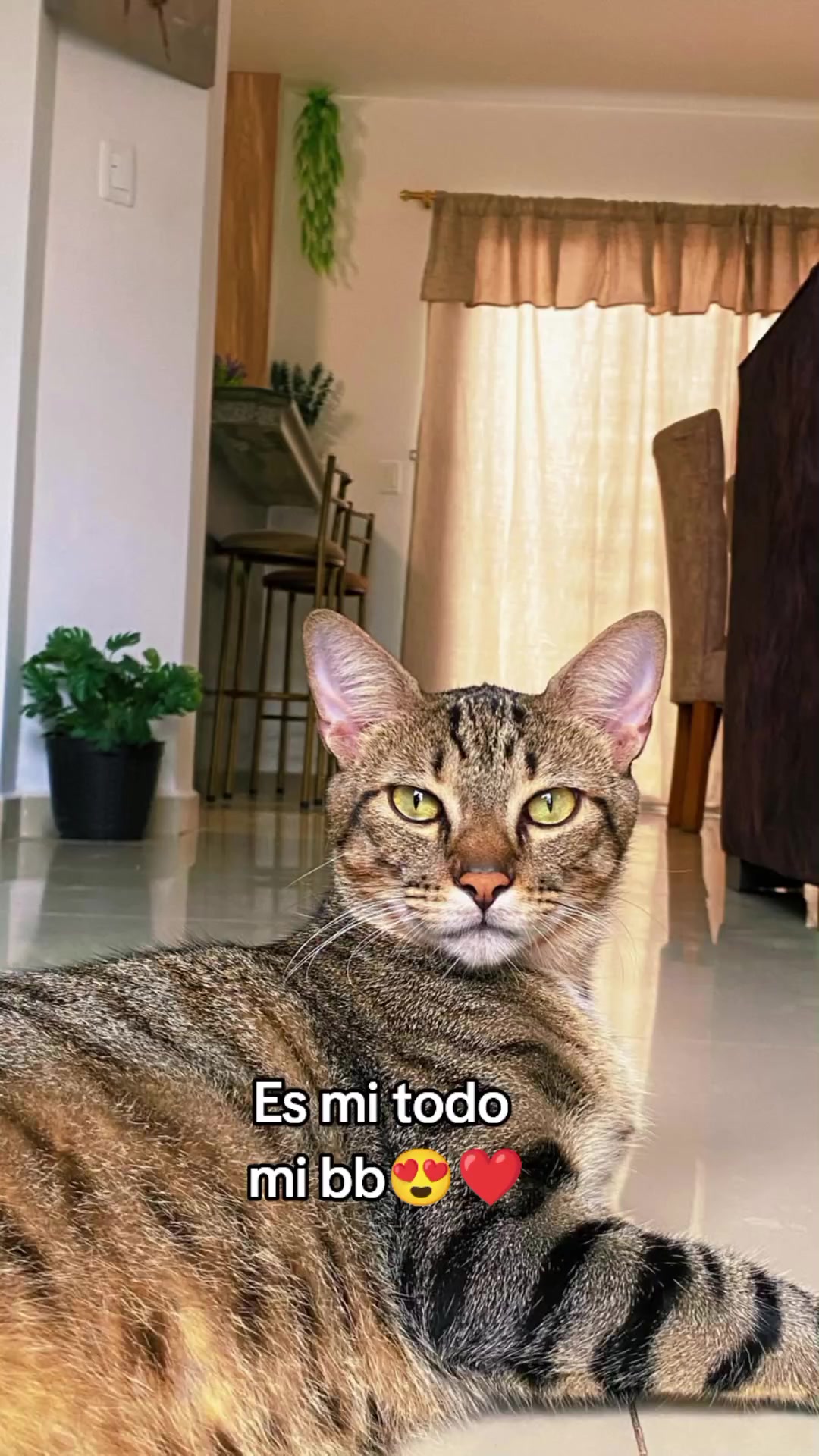 @Teresa Mera