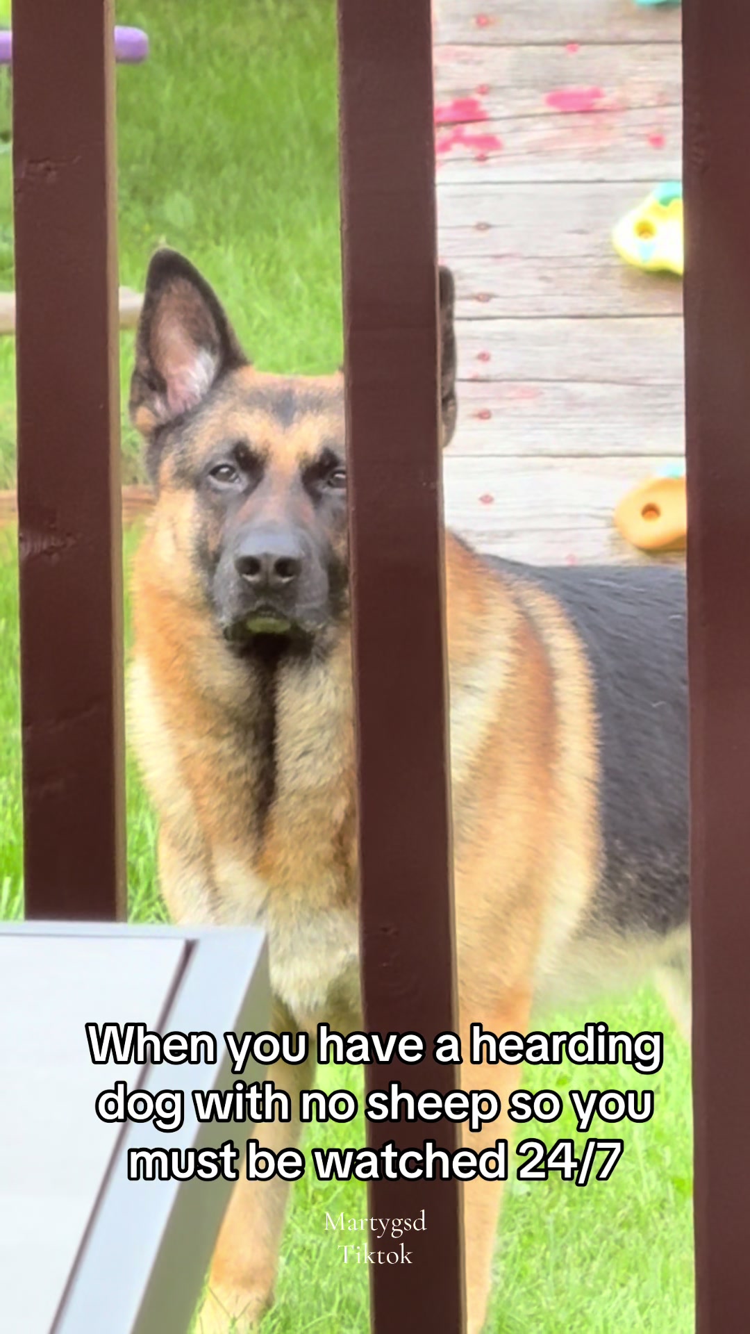 @Martygsd