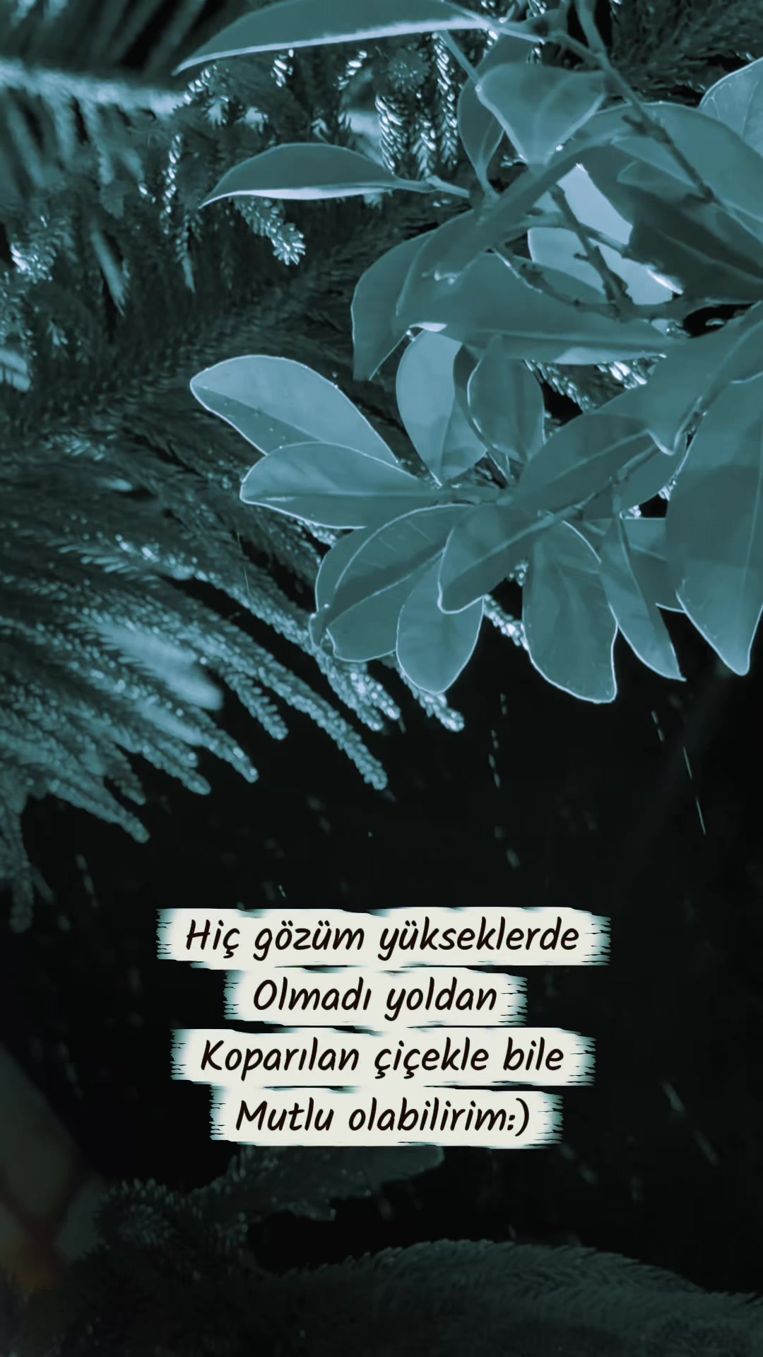 @Selin__93