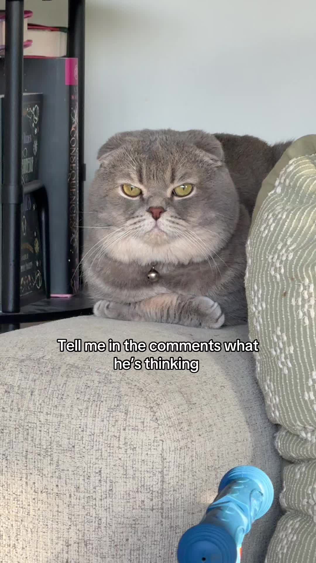 @Jordan 🫶🏻