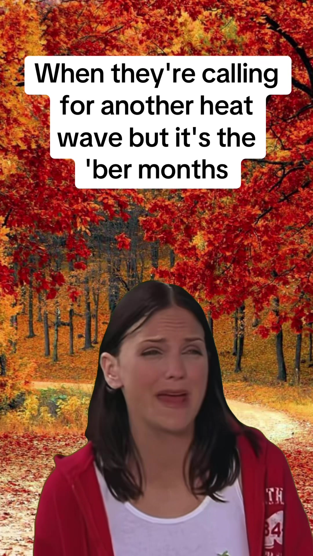 @fefe87_