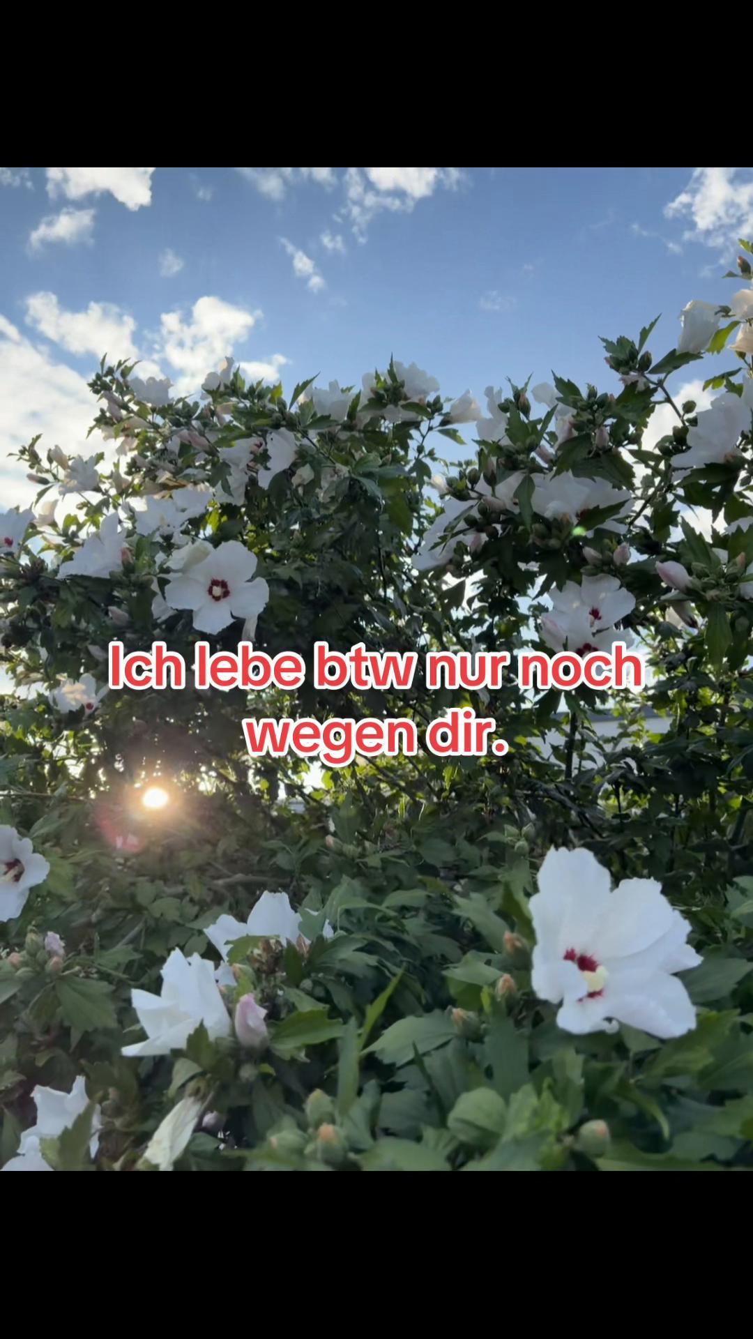 @Fabiene❤️🐝