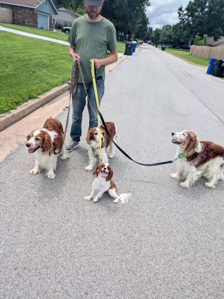 @Muttstrutt