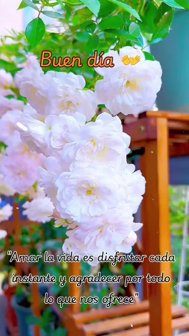 @Nora Lombardo