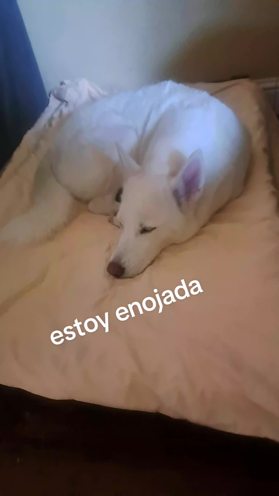 @Elizabeth Nava