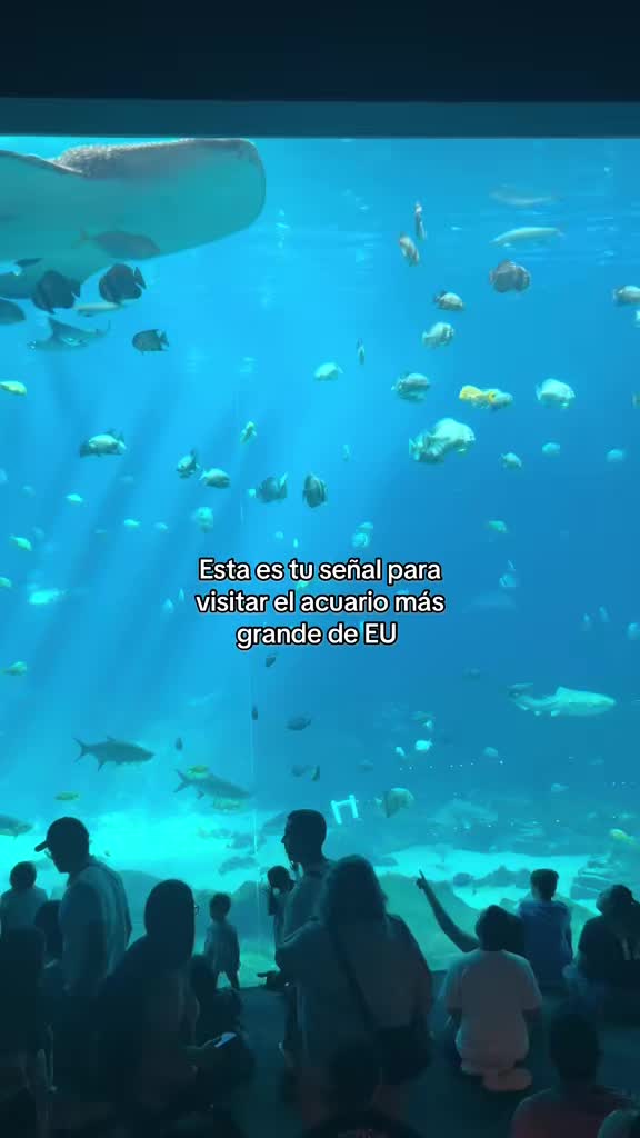 @Kari OS