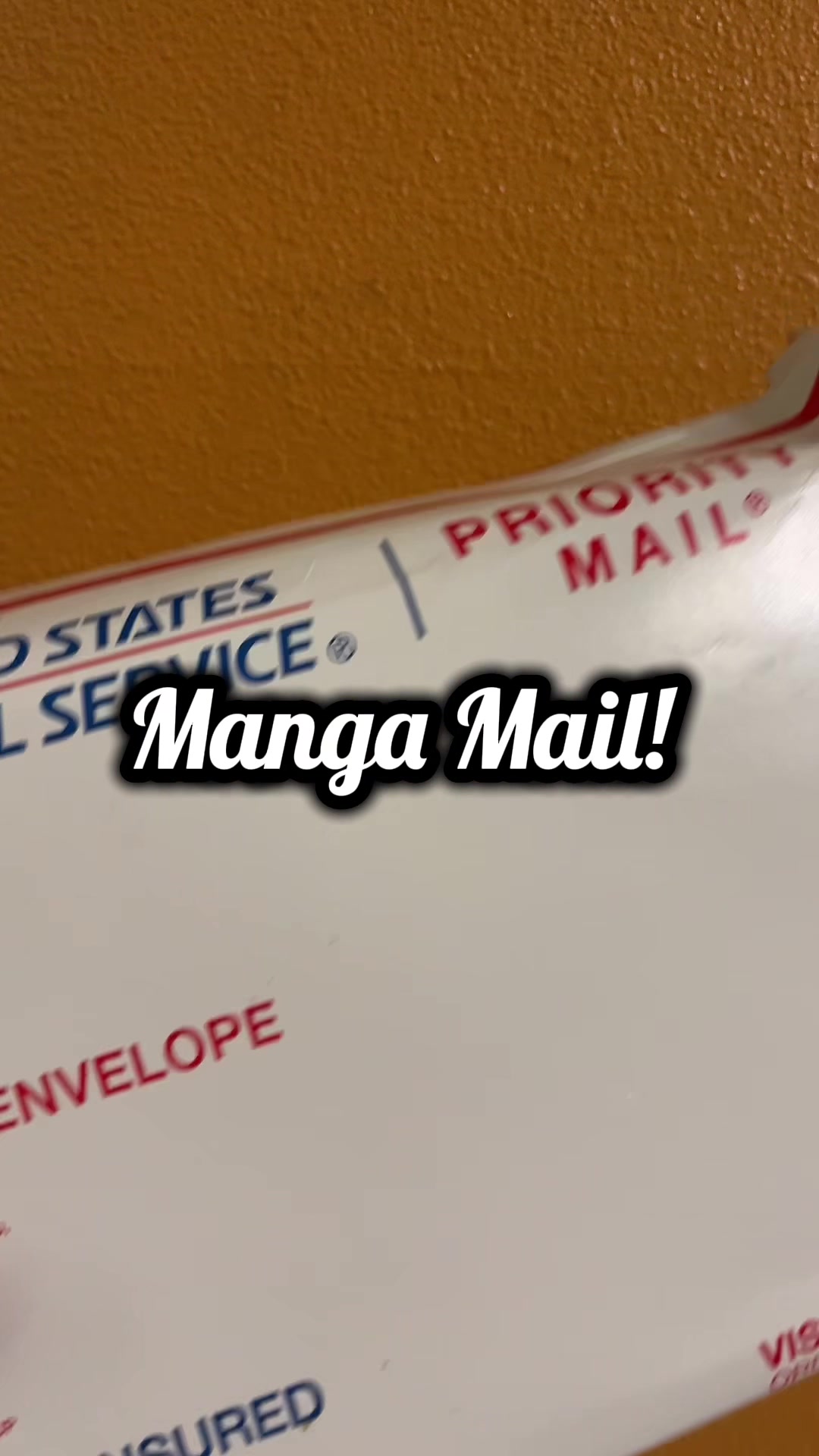 @TheMangaCouple
