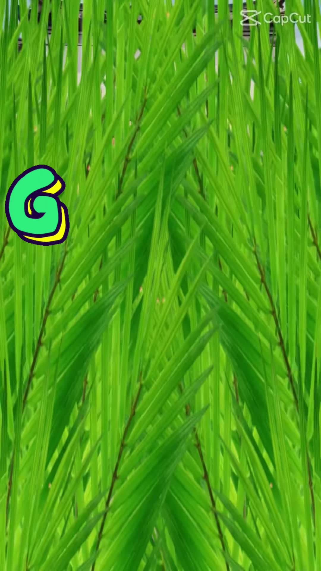 @Geti 🇳🇱