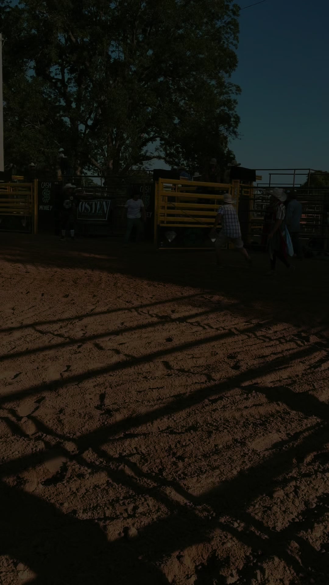 @mamasboyroughstock